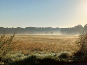 goldener Herbst