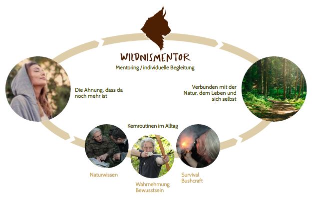 Schaubild_Mentoring